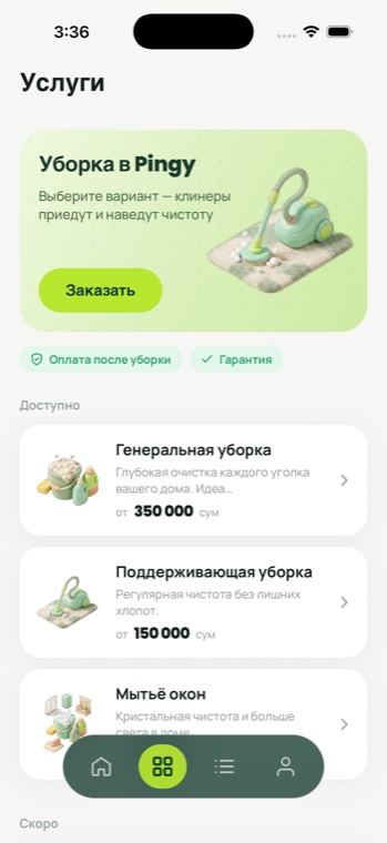 Pingy Clean — services