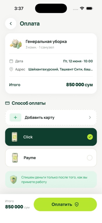 Pingy Clean — payment