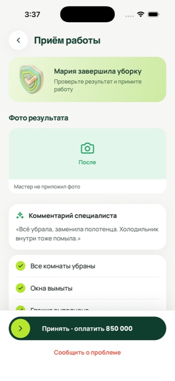 Pingy Clean — accept and pay